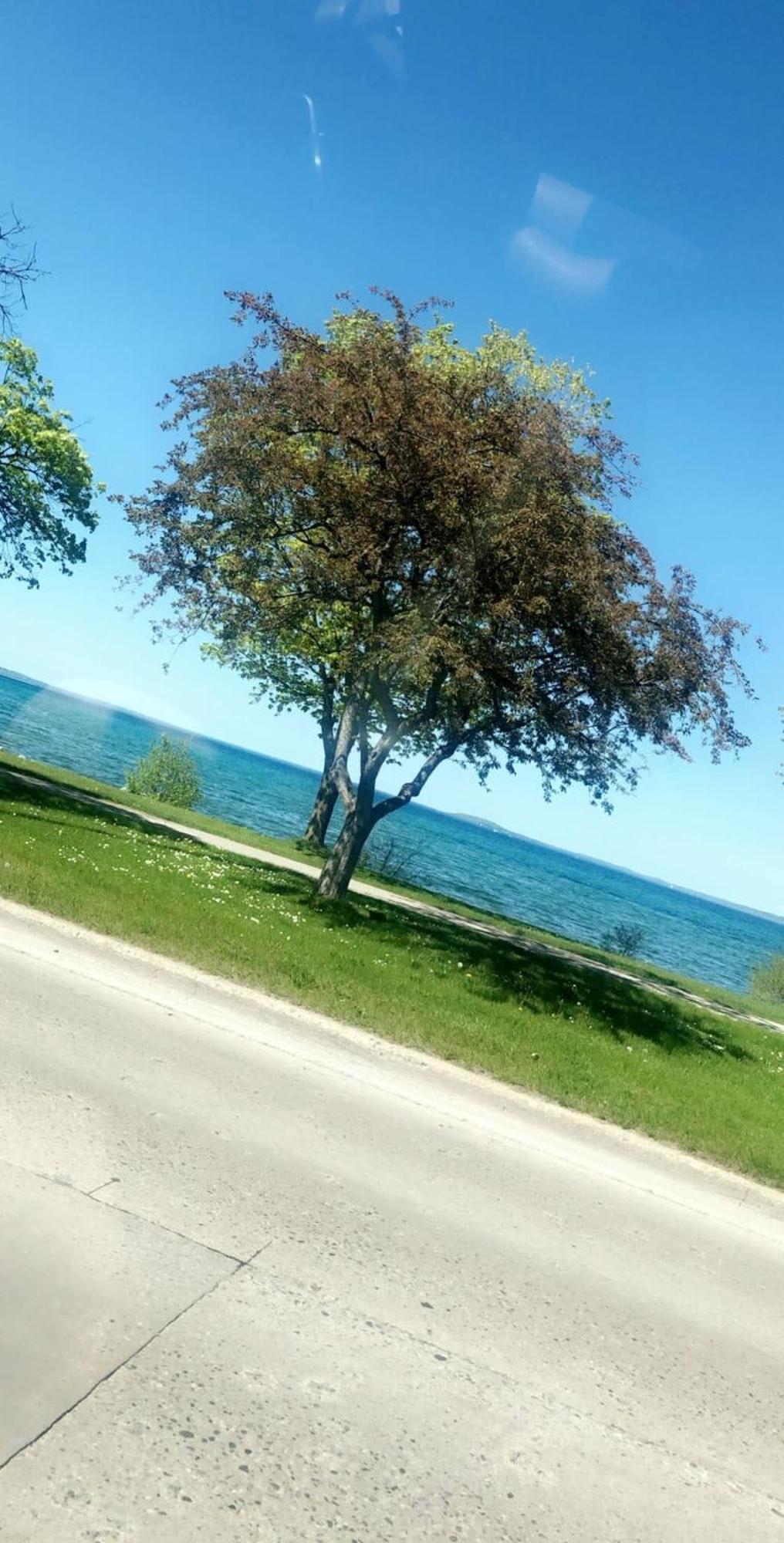 Location Location - Capri Condo 212 Traverse City Esterno foto